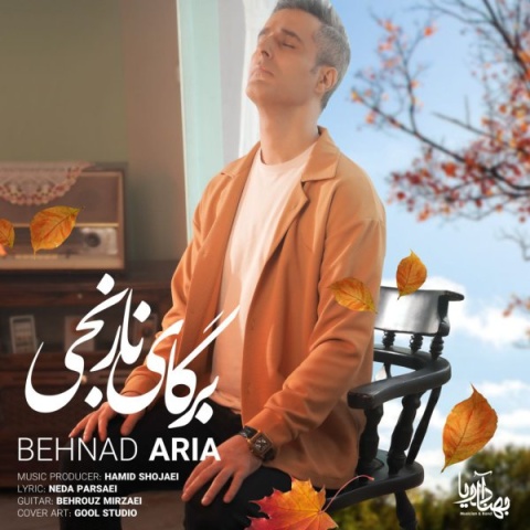 آهنگ بهناد آریا برگای نارنجی
