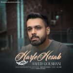 دانلود آهنگ سعید گلشنی حرف حساب