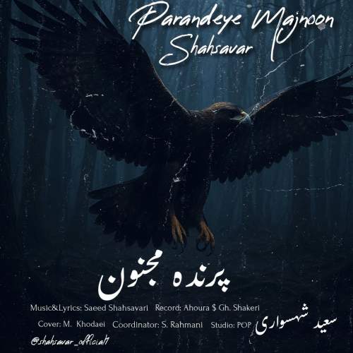 آهنگ سعید شهسواری (شهسوار) پرنده مجنون