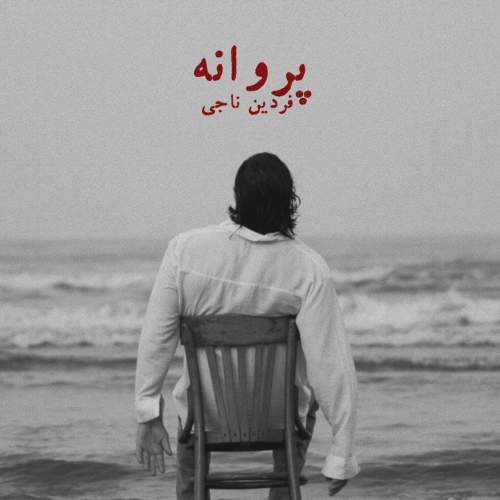 آهنگ فردین ناجی پروانه