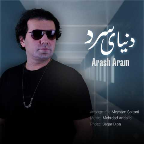 آهنگ آرش آرام دنیای سرد